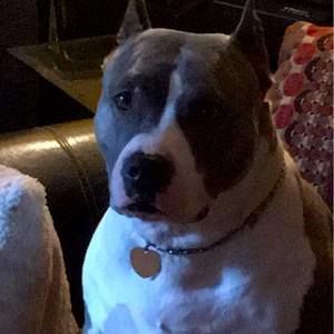 Meet your Posher, Jerry